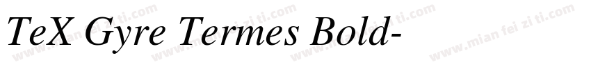 TeX Gyre Termes Bold字体转换